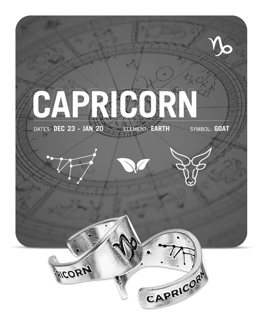 Zodiac Sign Signet Ring - Capricorn - Symbol | Jewelry – Whitney 